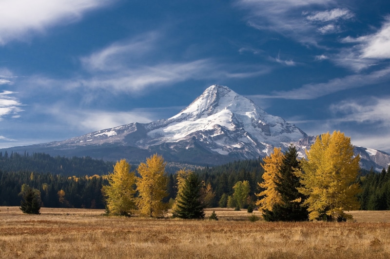 landscape, forest, coniferous tree, clouds, environment, snowcapped mountain, outdoors, Oregon, mountain, tranquility, tree, Stratovolcano, beauty in nature