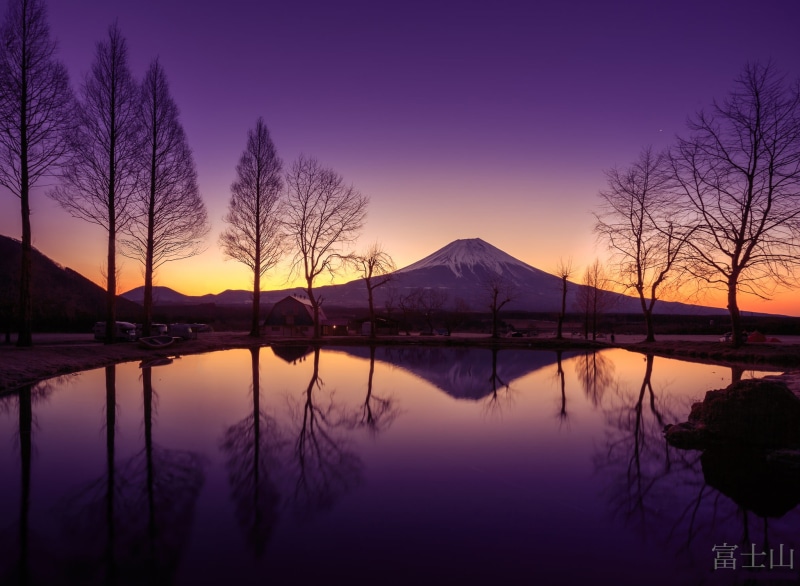 water, purple, scenics - nature, the island of Honshu, silhouette, lake, Mount Fuji, Fuji, plant, tranquil scene, tree, tranquility, standing water, body