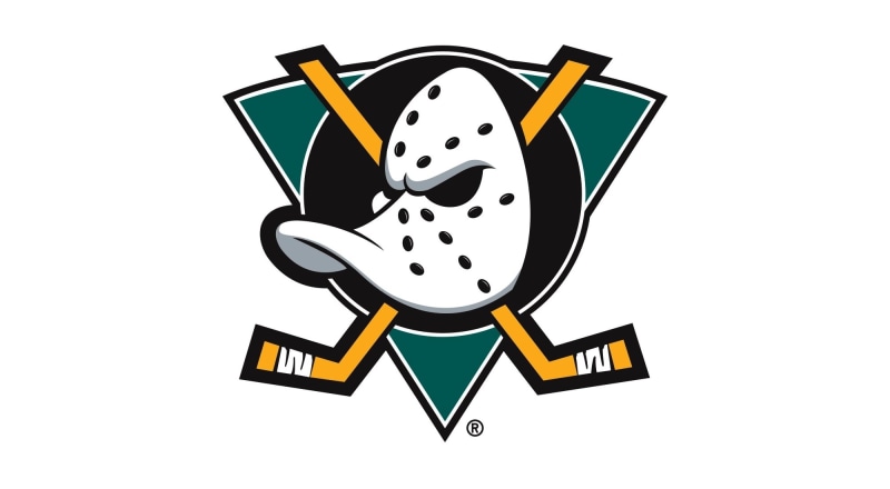representation, Hockey, mug, creativity, Anaheim Ducks, communication, Sport, cut out, The game, symbol, Logo, happiness, one person, Background, Mask