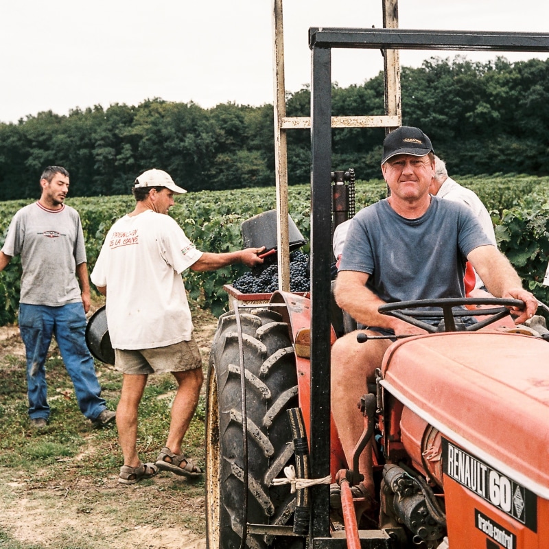 farmer, vendange, ektar, people, vine, mature men, lifestyles, casual clothing, terroir, plant, men, adult, hasselblad, harvest, 1080P, tracteur, two people