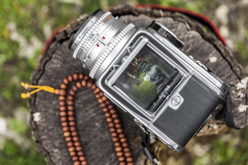 land vehicle, plant, praying beads, hasselblad, 120, rollfilm, 6x6, 5K, photography, no people, focus on foreground, outdoors, day, nature, transportation