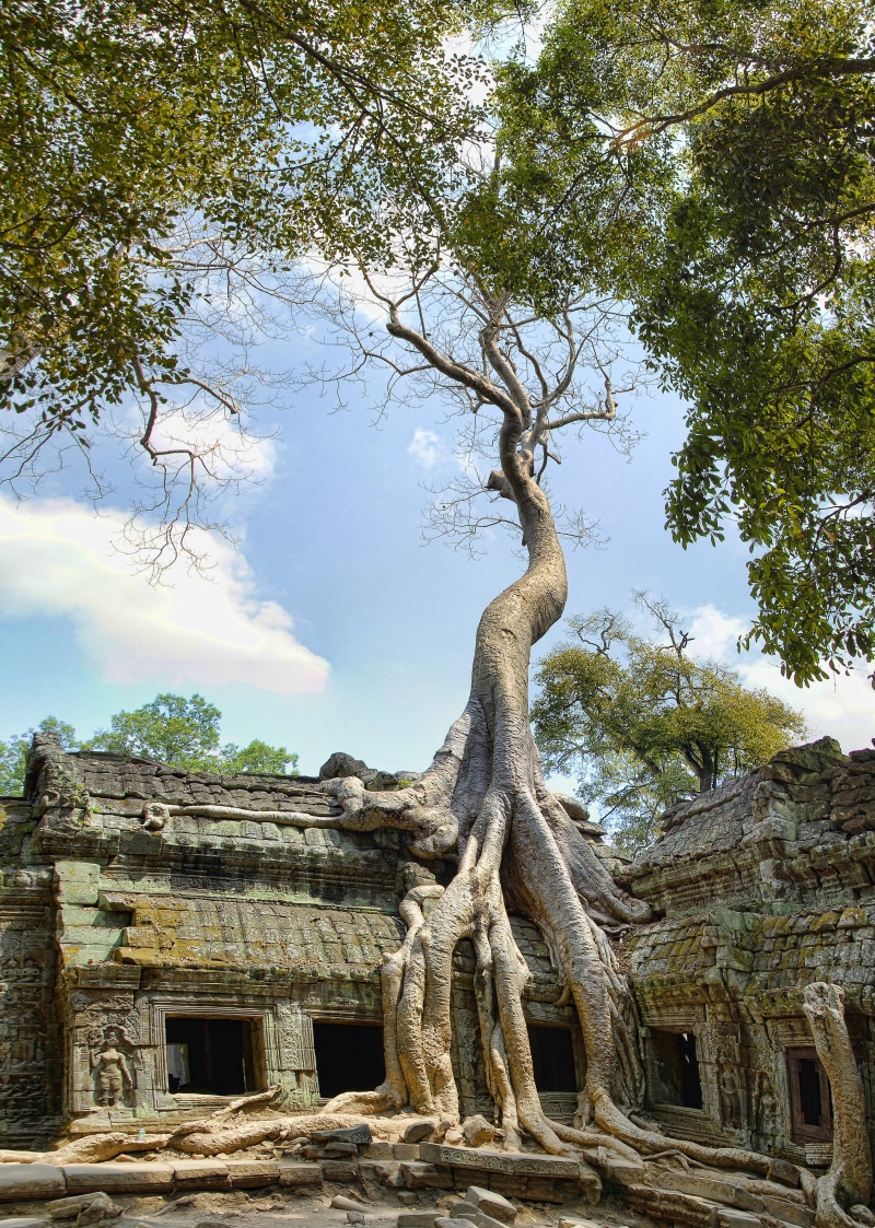 khmer, architecture, outdoors, archaeology, asia, travel destinations, the past, ta prohm, building exterior, ancient civilization, ruined, ancient, built structure