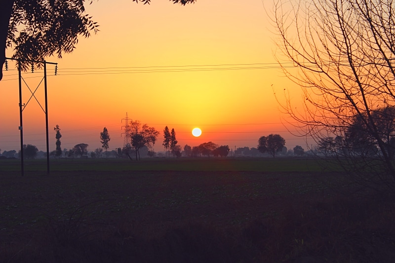 no people, non-urban scene, nature, landscape, romantic sky, orange color, outdoors, land, sun, 5K, scenics - nature, tree, plant, agri land, field, sunset