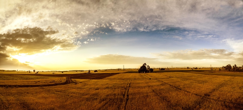 environment, rural scene, punjab, panoramic, rural, rice, clouds, no people, sky, outdoors, blue, cloud - sky, tranquility, fields, nature, tranquil scene