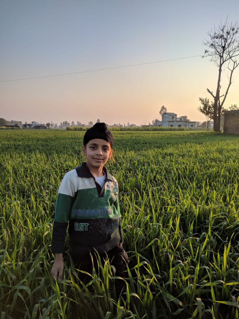 landscape, agriculture, Punjabi, Love, field, Children, Nature, Punjab, rural scene, unnamed road, young adult, real people, growth, green color, india