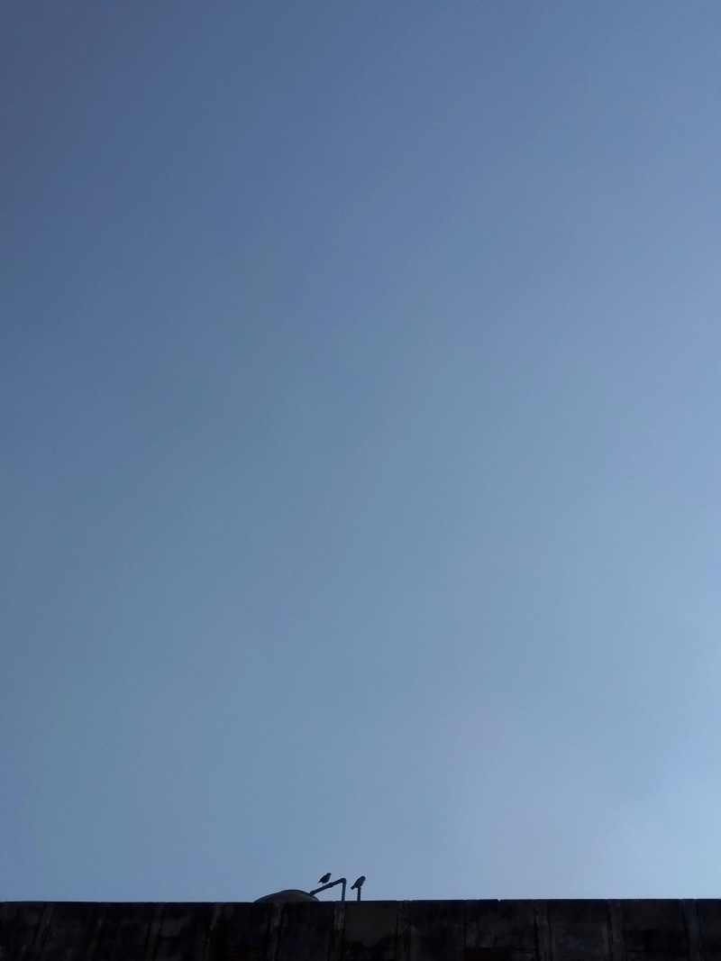 clear sky, high section, nature, barrier, directly below, low angle view, india, no people, building exterior, 4K, architecture, sparse, blue, building