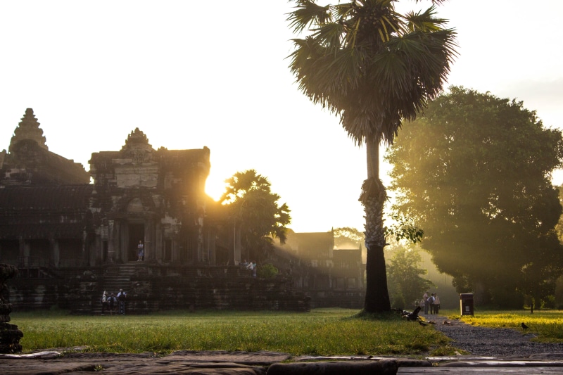city, plant, street, sunlight, park, growth, building, krong siem reap, architecture, built structure, real people, sunrise, tree, sunset, angkor wat, temple