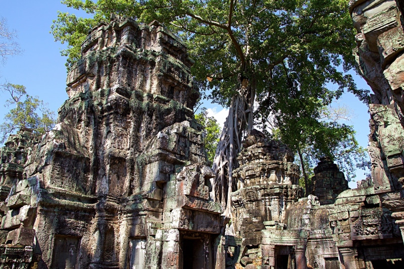 religion, landscape, buddhism, the past, Cambodia, Angkor Wat, world heritage, architecture, concrete, asia, places of interest, plant, root, gray, history