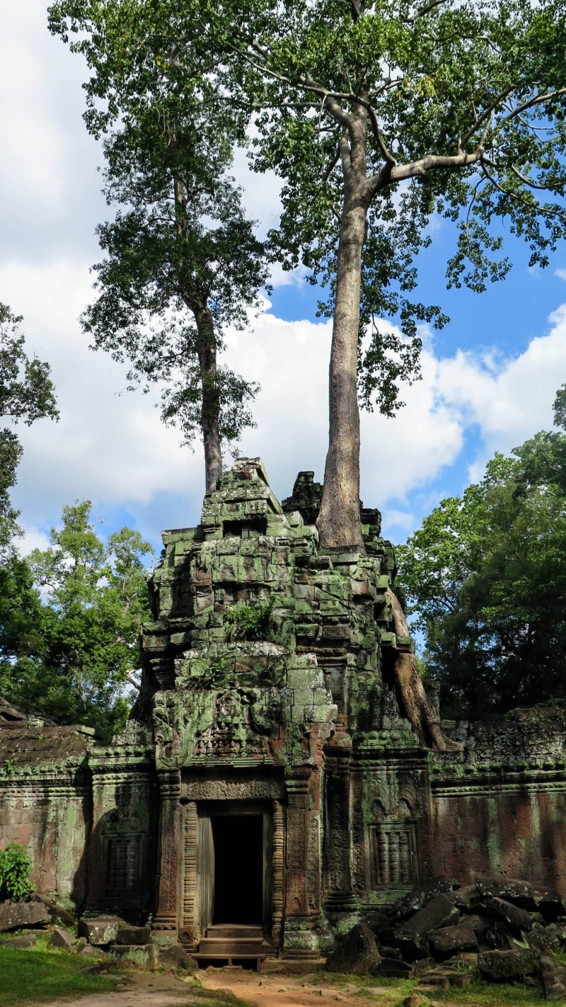 ancient, place of worship, building exterior, plant, root, jungle, no people, the past, low angle view, ancient civilization, history, angkor, day, old