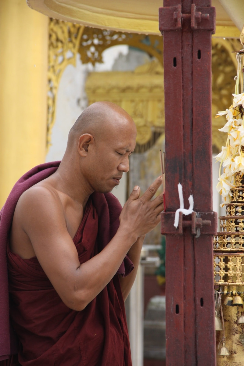 adult, focus on foreground, males, rangoon, shwedagon, waist up, clothing, outdoors, 1080P, day, myanmar monks, golden pagoda, looking, praying, side view