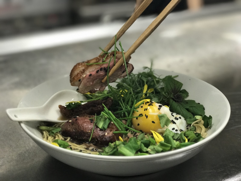 noodle bowl, serving size, egg, temptation, vegetable, food And Drink, dinner, freshness, no people, seafood, meal, plate, ready-to-eat, cooking, herb