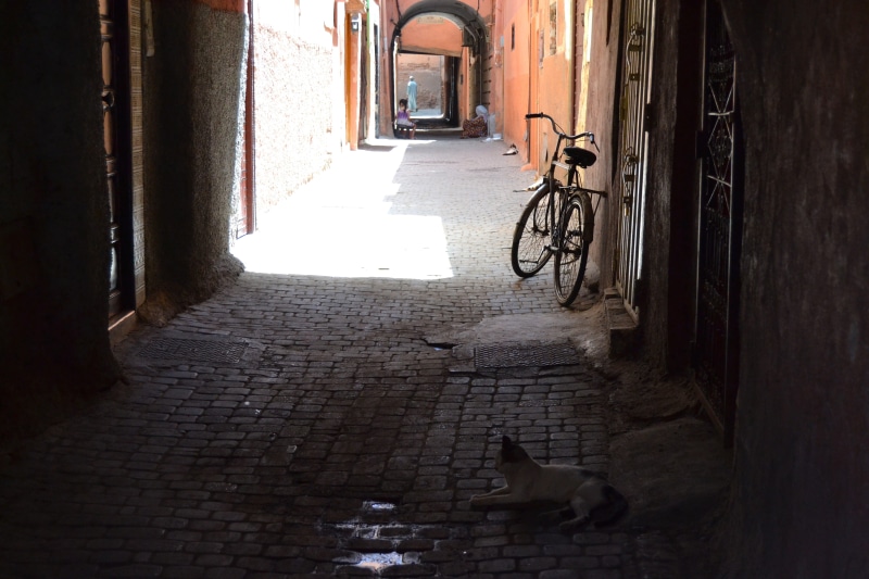 direction, built structure, building exterior, 4K, the way forward, day, architecture, bicycle, footpath, outdoors, morocco, wall, narrow, wall - building feature