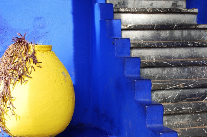 marble, blue, yellow, animal, staircase, one animal, house, stairs, morocco, marrakesh, day, food and drink, close-up, steps and staircases, animal wildlife