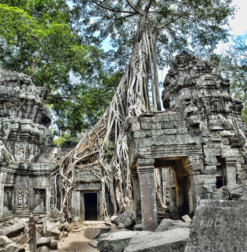 religion, day, deterioration, tree, gray, stone, angkor, ta prohm, wat, nature, history, ancient civilization, no people, photo, temple, belief, old ruin
