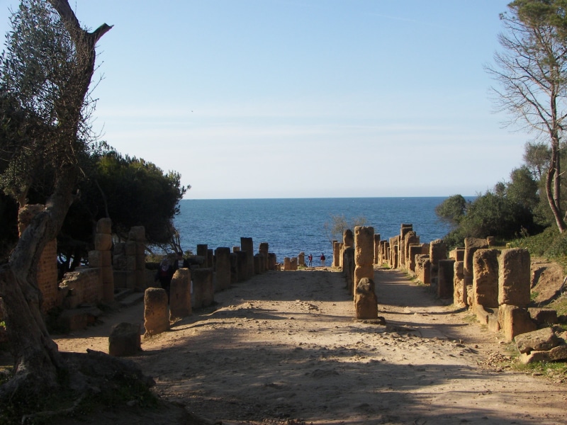 africa, plant, water, 2K, nature, sunlight, history, algeria, scenics - nature, architecture, outdoors, tipasa, horizon over water, sea, ruined, archeological