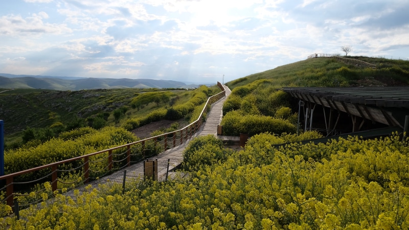 bridge - man made structure, built structure, growth, road, architecture, plant, scenic, green, archeology, outdoors, non-urban scene, scene, nature, bridge