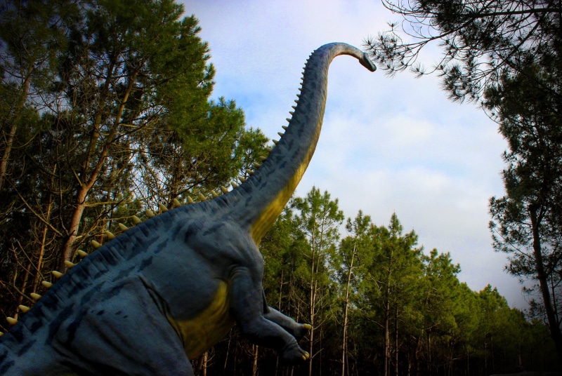 education, representation, sculpture, dino, toys, big, sauropods, white, biology, green, palaeontology, isolated, reptile, period, tree, rubber, toy, science