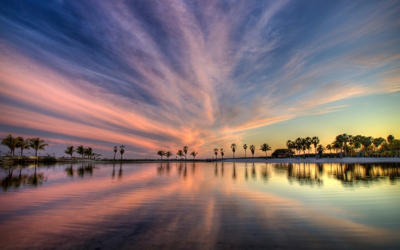 reflection, near, no people, nature, beauty in nature, green, scenics - nature, outdoors, palm tree, lake, water, orange color, tranquility, cloud - sky