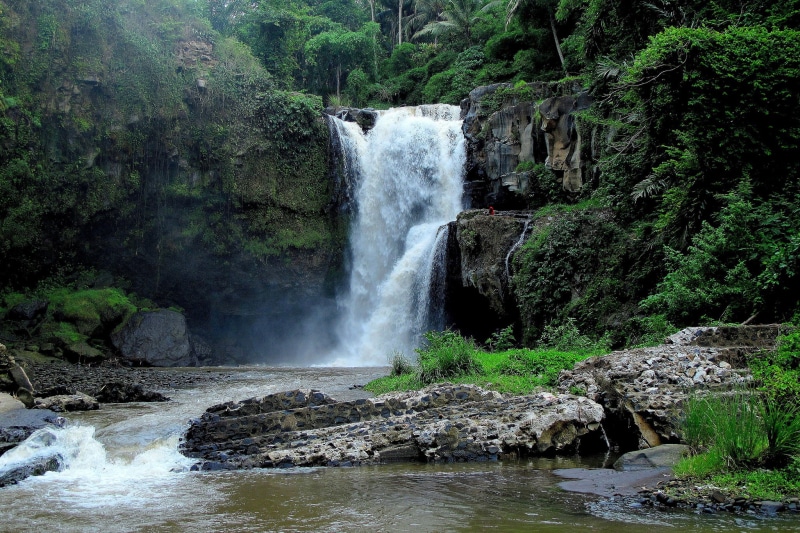 waterfalls, jungle, bali, indonesia, forest, 1080P, cliffs, river