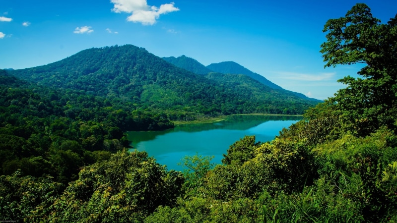 green Color, rural Scene, mountain Peak, non-Urban Scene, scenics, landscape, cloud - Sky, forest, nature, sky, trees, tree, summer, Indonesia, green, water