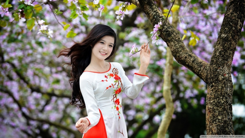 Asian, áo dài, 1080P, women, vietnamese