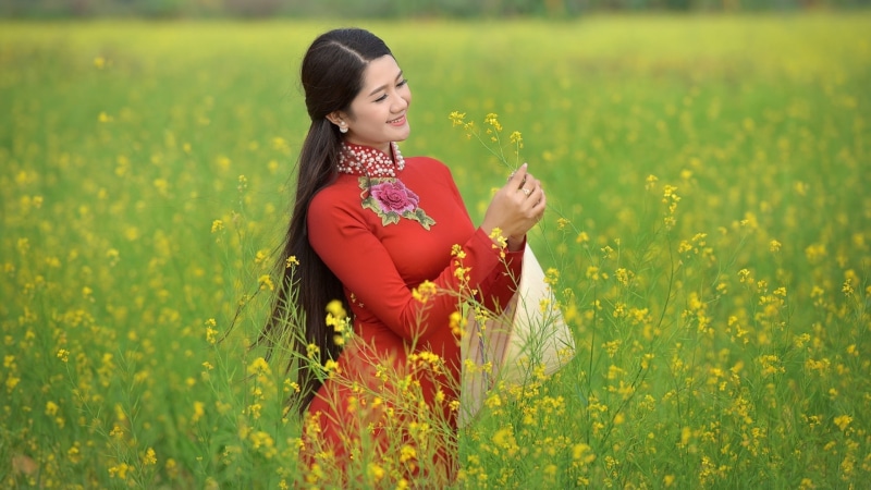 áo dài, Vietnam, field, women, vietnamese, red dress, outdoors, flowers, brunette, women outdoors, long hair, Asian, model, 1080P