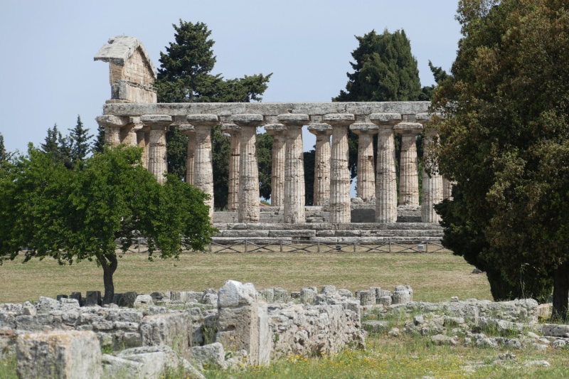 poseidon, pillar, italy, unesco, cilento, paestum, world heritage, tree, day, plant, solid, places of interest, ancient, architectural column, greek, unesco world heritage site