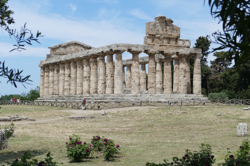 tree, architecture, travel destinations, cilento, sky, day, the past, ruined, places of interest, greek, antiquity, salerno, ancient, built structure, nature