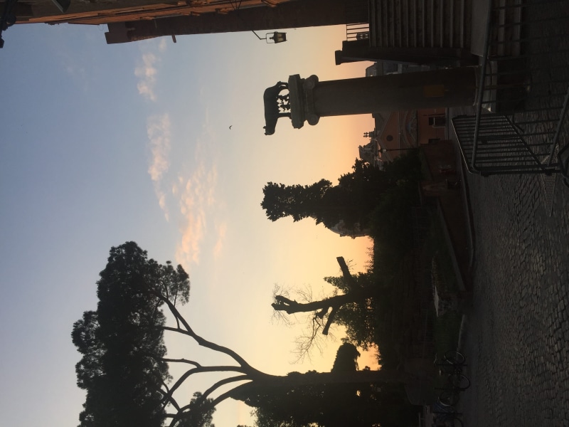 cloud - sky, roma, low angle view, dawn, 2K, pollution, hill, outdoors, romulo, lupo, city, capitoline hill, growth, remo, orange color, silhouette, no people