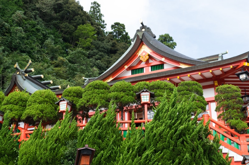 religion, spirituality, day, 5K, shrine, place of worship, no people, building, japan, green color, lush foliage, shinto shrine, architecture, plant, belief