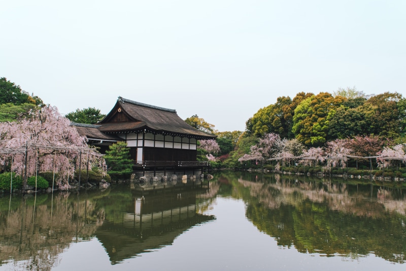 reflection, building, spring, day, garden, sky, architecture, cherry blossoms, building exterior, 5K, lake, sakura, water, heian, waterfront, nature, plant