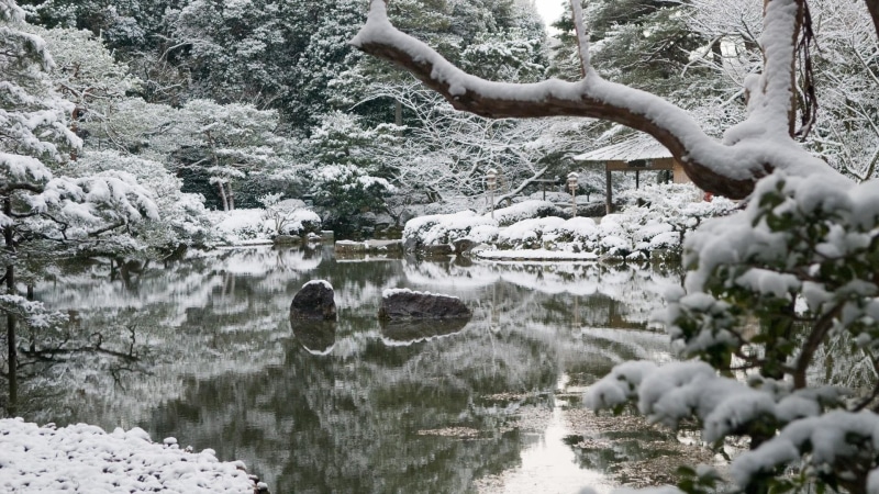 asia, nature, pond, plant, outdoors, water, snowy, cold temperature, white color, kyoto, growth, 1080P, snow, freezing, flowing water, extreme weather