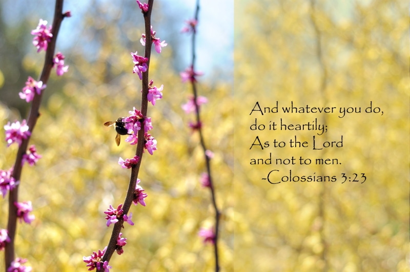 bible, poster, text, quote, Ba, 4K, verses, religion