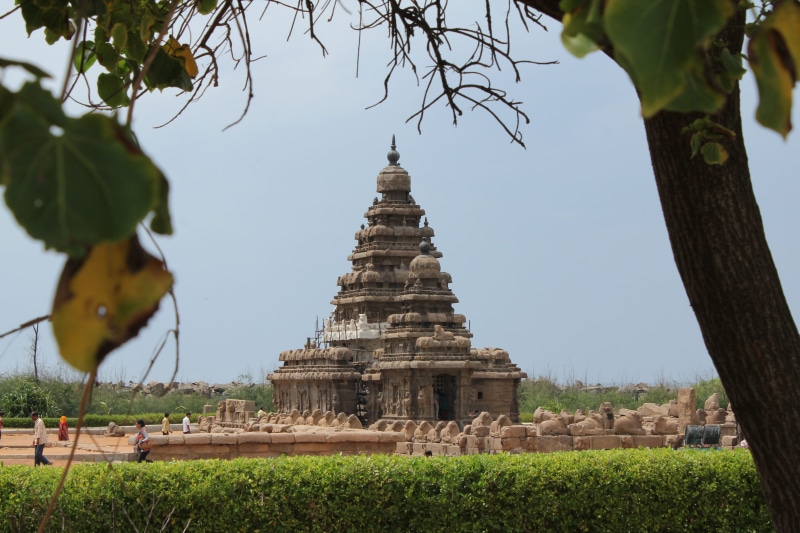 sky, 5K, mahabalipuram, day, belief, built structure, chennai, tree, no people, low angle view, plant, ancient, tamilnadu, nature, history, the past, spirituality