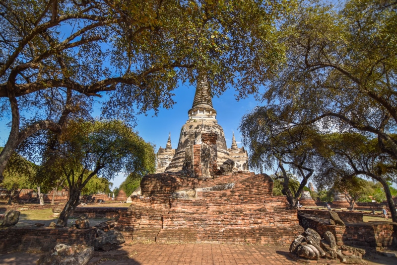 plant, ayutthaya, thailand, built structure, outdoors, ancient siam, building exterior, travel destinations, old city, the past, sky, old, ayutthaya old
