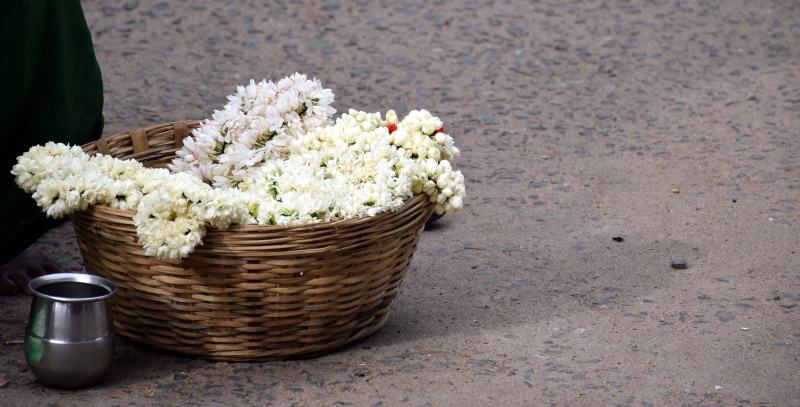 lifestyle, outdoors, culture, food, no people, high angle view, container, seller, road, still life, plant, people, day, basket, rural, freshness, jasmine