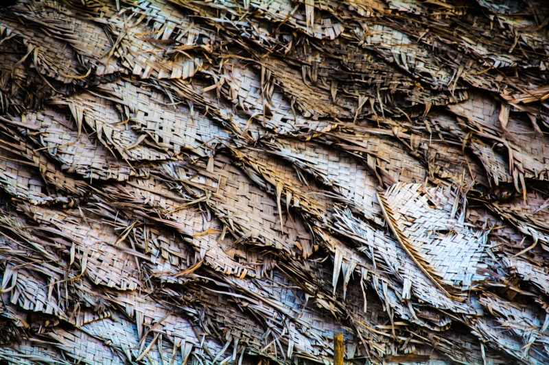 5K, arrangement, abstract, backgrounds, large group of objects, day, no people, plant, tree, india, repetition, leaves, coconut, wood - material, stack