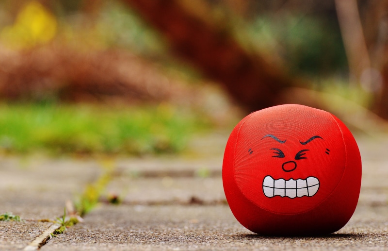smiling, sour, cute, leaf, anthropomorphic smiley face, face, outdoors, footpath, smiley, text, fun, 5K, funny, rage, focus on foreground, selective focus