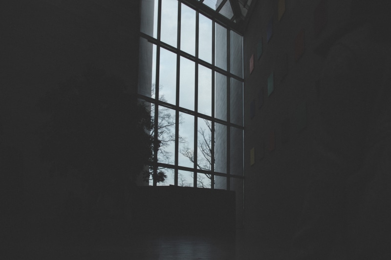 outline, domestic room, grunge, tree, indoors, inside, framed, security, wooden, looking out, window, windowsill, frame, housing, bars, urban, pattern