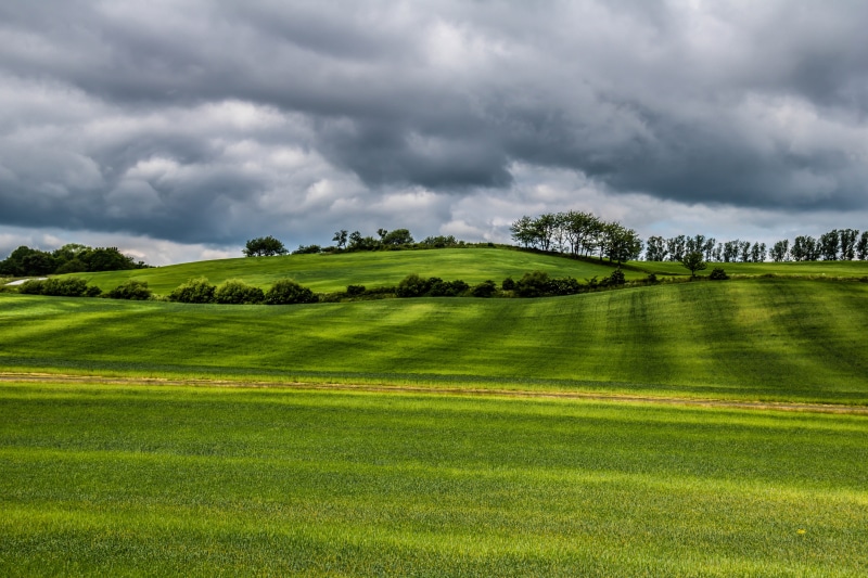 rural Scene, land, farm, f/3.5, 5K, green fields, geo:location, model, ƒ / 9, Dark clouds, focal_length, s18, scenics, Österlen, countryside, sky, meadow