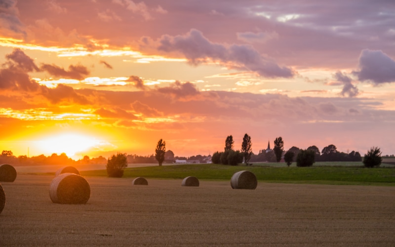 crop, aperture, focal_length, harvesting, scenics, city, bale, 760d, country, cloud, 90 mm, landskap, Countryside, roll, s18, Söderslätt, agriculture, field