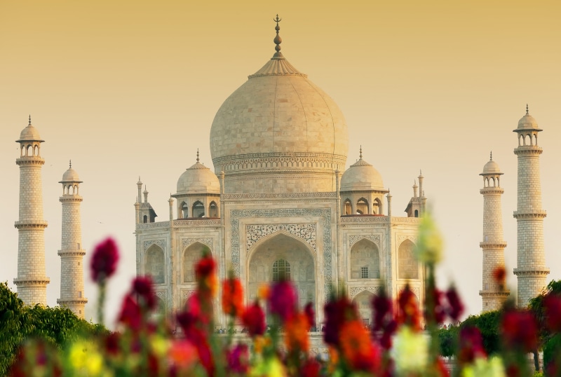 memorial, dome, clear sky, tourism, 5K, flower, travel, outdoors, arch, built structure, building exterior, spire, Agra, no people, castle, history, mahal