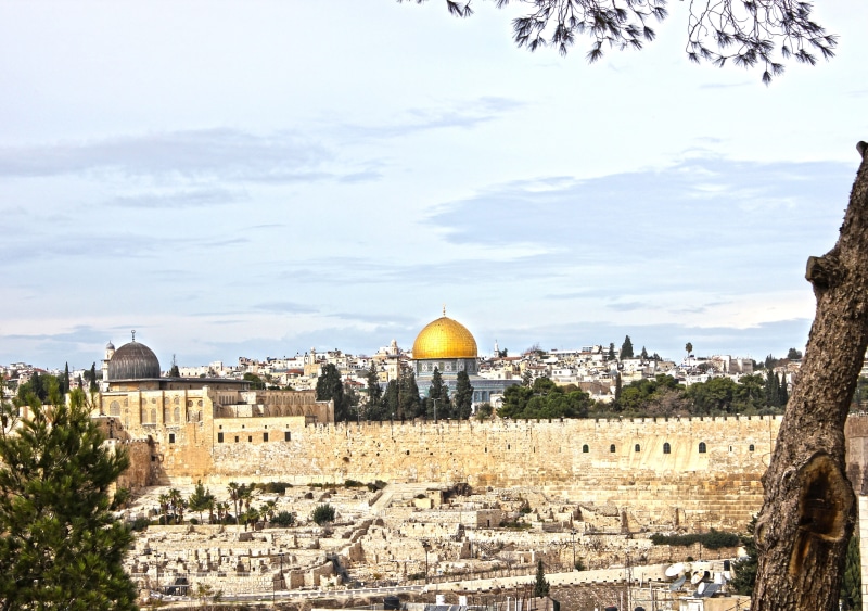 architecture, no people, travel destinations, religion, israel, townscape, 4K, day, belief, building exterior, history, jerusalem, outdoors, tree, building