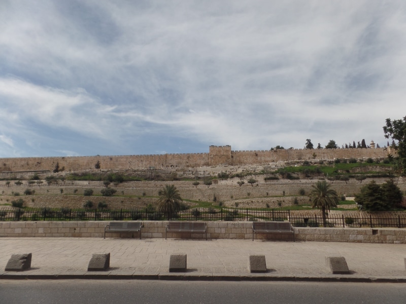 building exterior, day, tourism, sky, old, architecture, plant, no people, ancient, the past, travel destinations, ancient civilization, tree, nature, jerusalem
