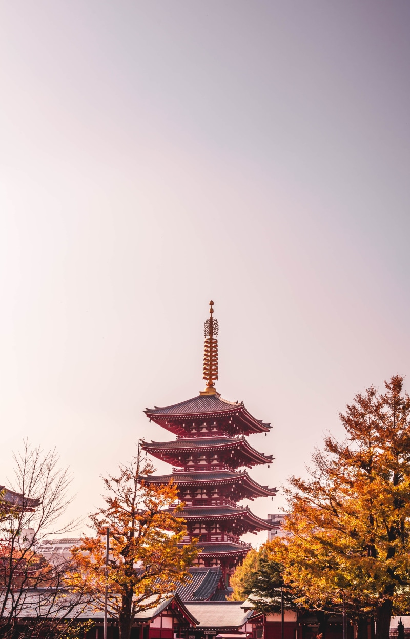 religion, worship, city, no people, japan, travel, sky, shrine, low angle view, red, human, building exterior, spire, sunset, travel destinations, plant