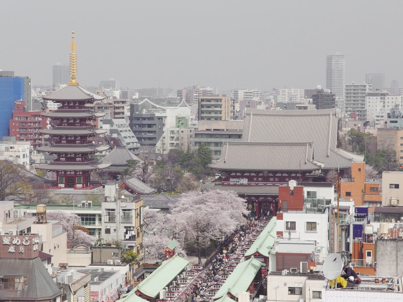 spirituality, tree, city, sky, outdoors, cityscape, nature, taitō-ku, spring, office building exterior, 4K, blossoms, kyoto, asakusa, day, blossom, tokyo