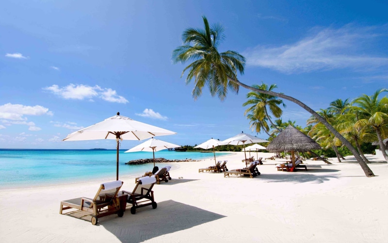 2K, beach, trang, tour, nha