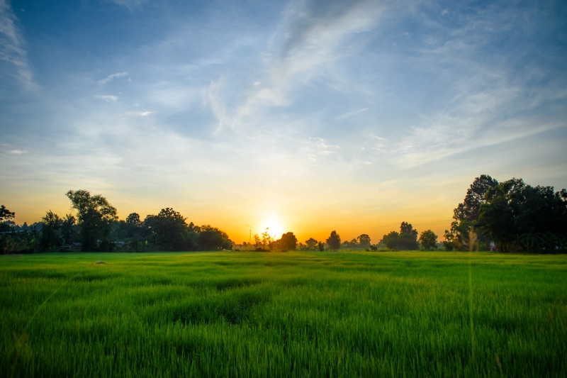 tranquil scene, clear, scenics - nature, outdoor, tree, bright, sky, travel, nature, outdoors, spectacular, blue sky, horizon, grass, tour, land, peace