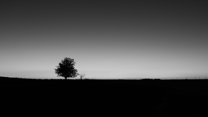 no People, 4K, sky, outdoors, dark, season, cloud - Sky, rural Scene, tree, meadow, dusk, non-Urban Scene, black And White, grayscale, white, horizon