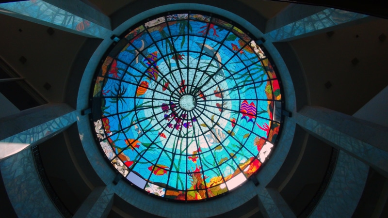 pattern, multi colored, decorative, old-fashioned, illuminated, directly below, stained, day, indoors, roof, ocean, luxury, ornate, skylight, underwater